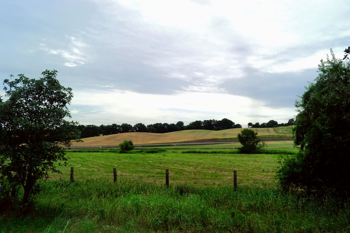 Fence and Field in Countryside · Free Stock Photo