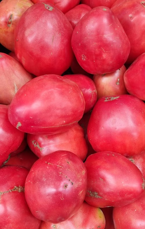 Cherry Tomatoes in Close-up Photography