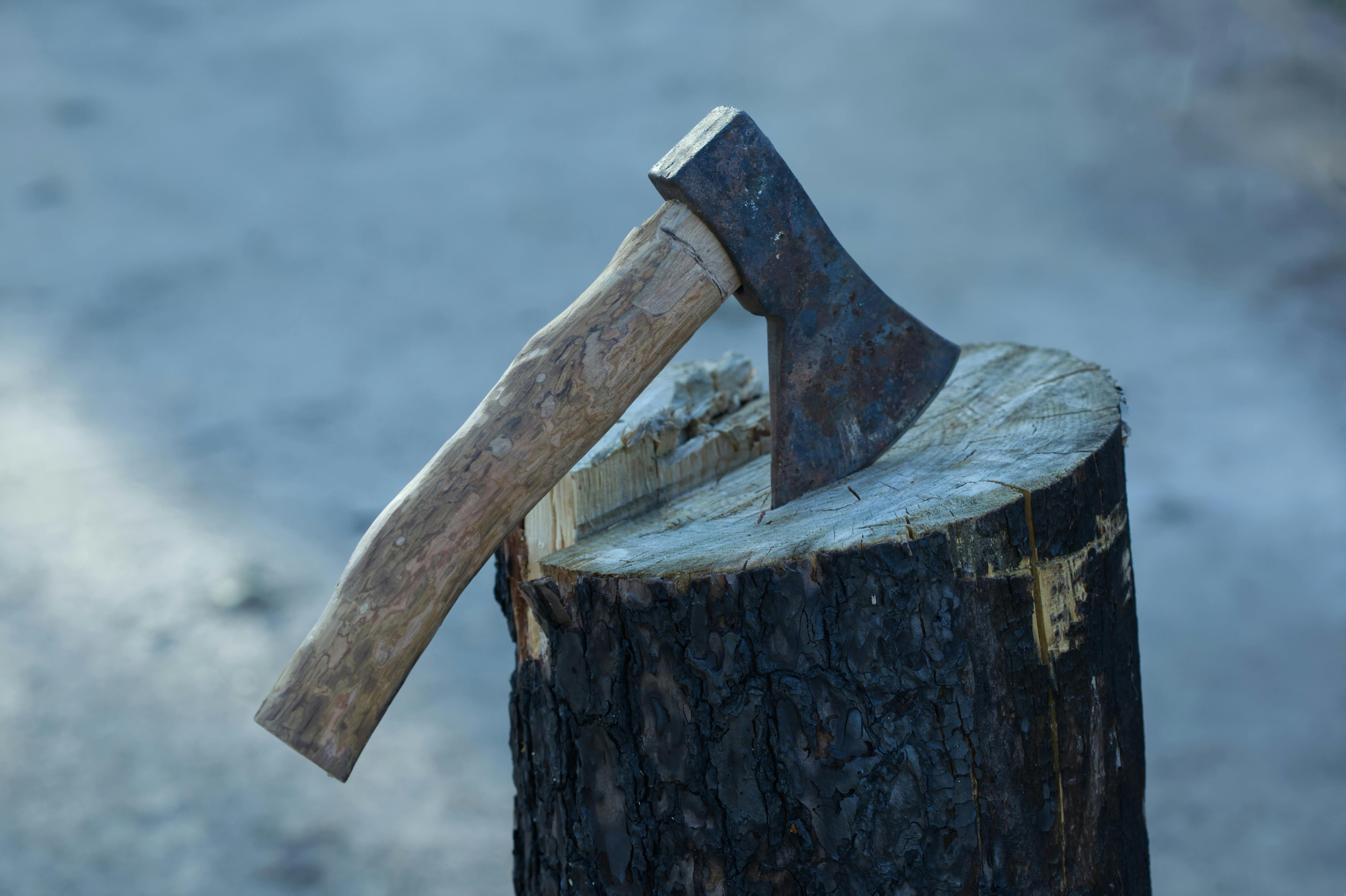 An Axe in Stamp in a Tree Stump Free Stock Photo