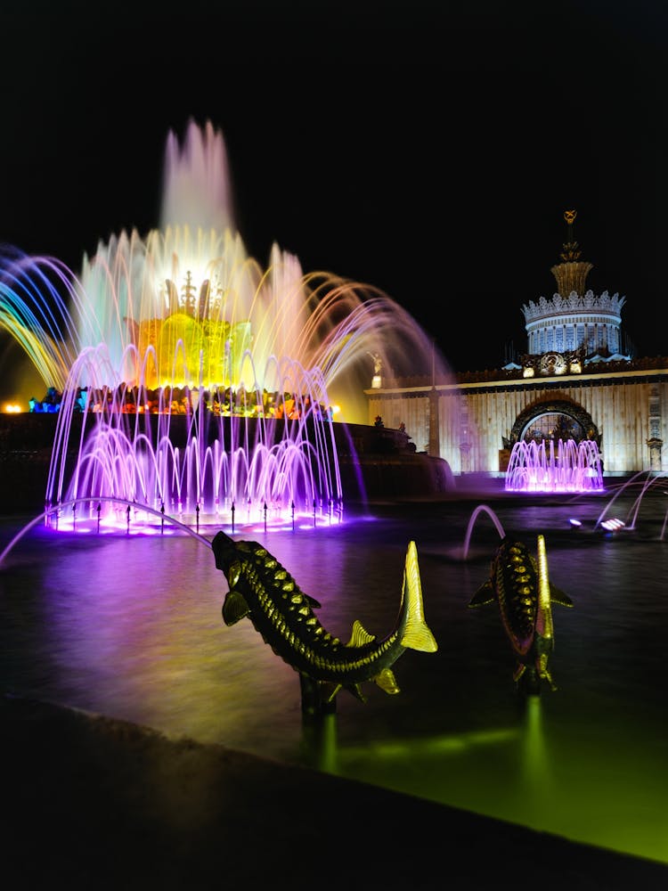 Fountain In Park At Night