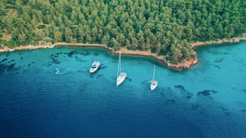 Free Aerial Shot  Of Boats in the Bay Stock Photo