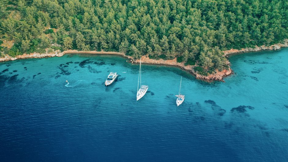 Breathtaking Private Luxury Catamaran Charter in Nassau Review: My Complete Experience on the Clicquot Review 2026 - A stunning aerial view of sailboats anchored near a lush, green forest shoreline in turquoise waters.
