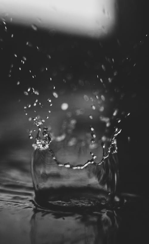 Fotografia Macro De Gotas De água