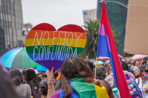 Person Holding Flag and Placard during Parade