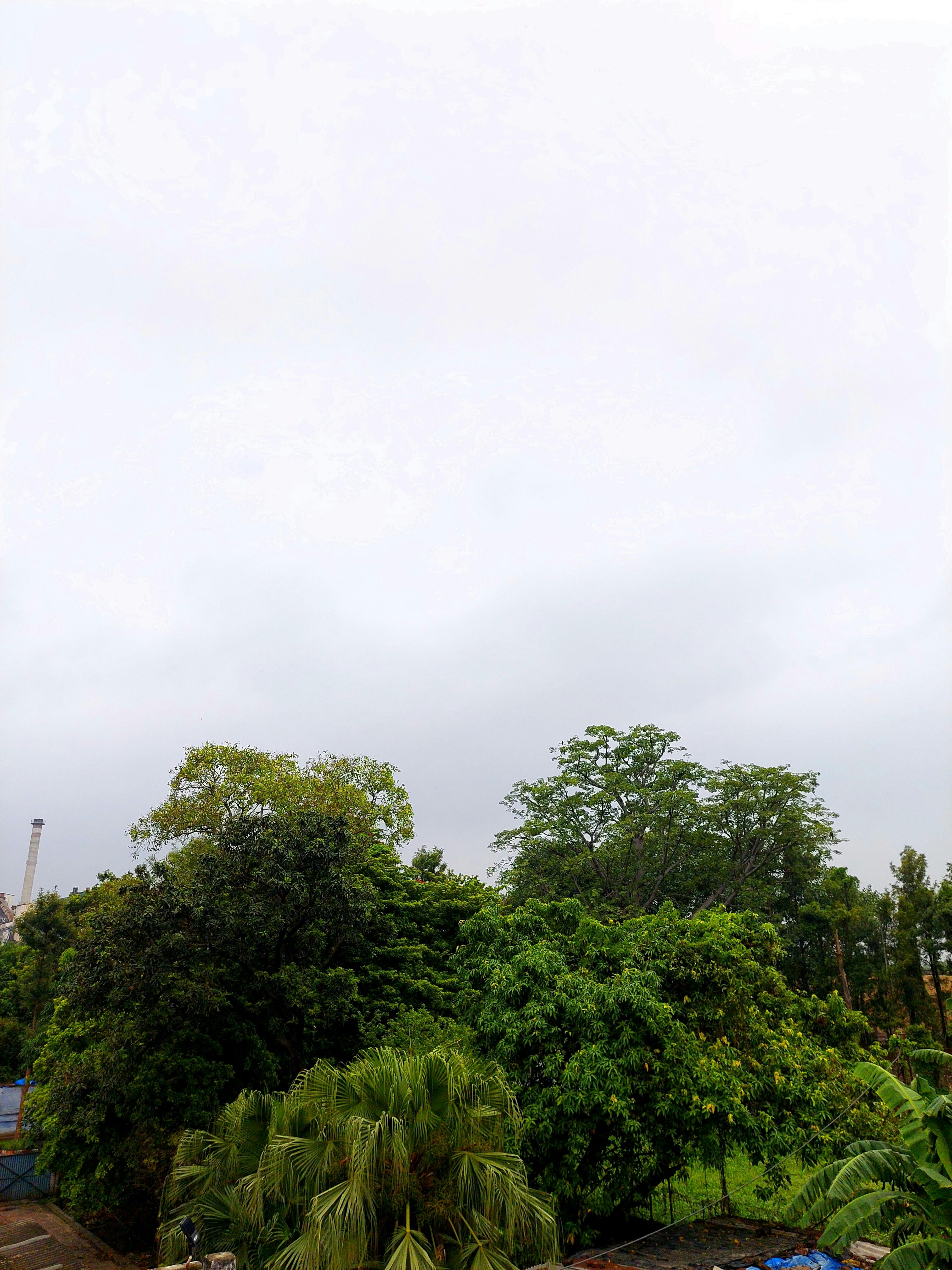 Recorded Video With Green Background Photos, Download Free Recorded