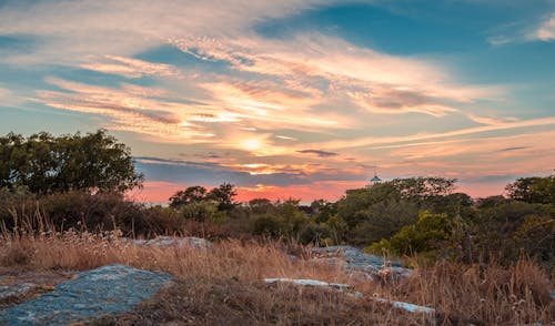 Fotobanka s bezplatnými fotkami na tému divý, fotografia prírody, HDR