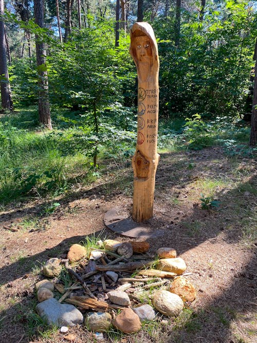 Fotobanka s bezplatnými fotkami na tému drevený pól, kamene, kmeň stromu