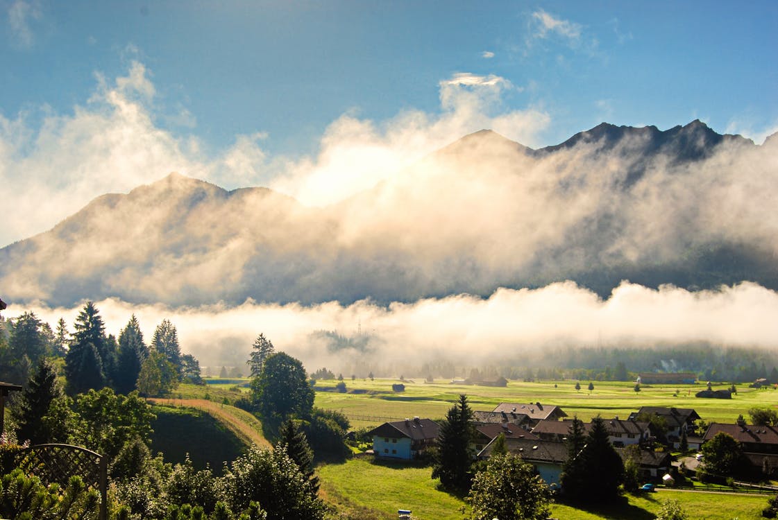 Photography of Green Leaf Trees in Front of Mountain