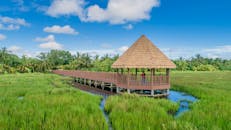 马尔代夫蓝天下，一座木制凉亭坐落在绿色沼泽中