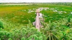 探索马尔代夫富瓦穆拉郁郁葱葱的湿地，从空中俯瞰穿过茂密绿植的人行道风景