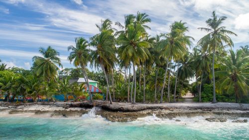 Free Scenic beach view with palm trees and turquoise waters in Fuvahmulah, Maldives. Stock Photo