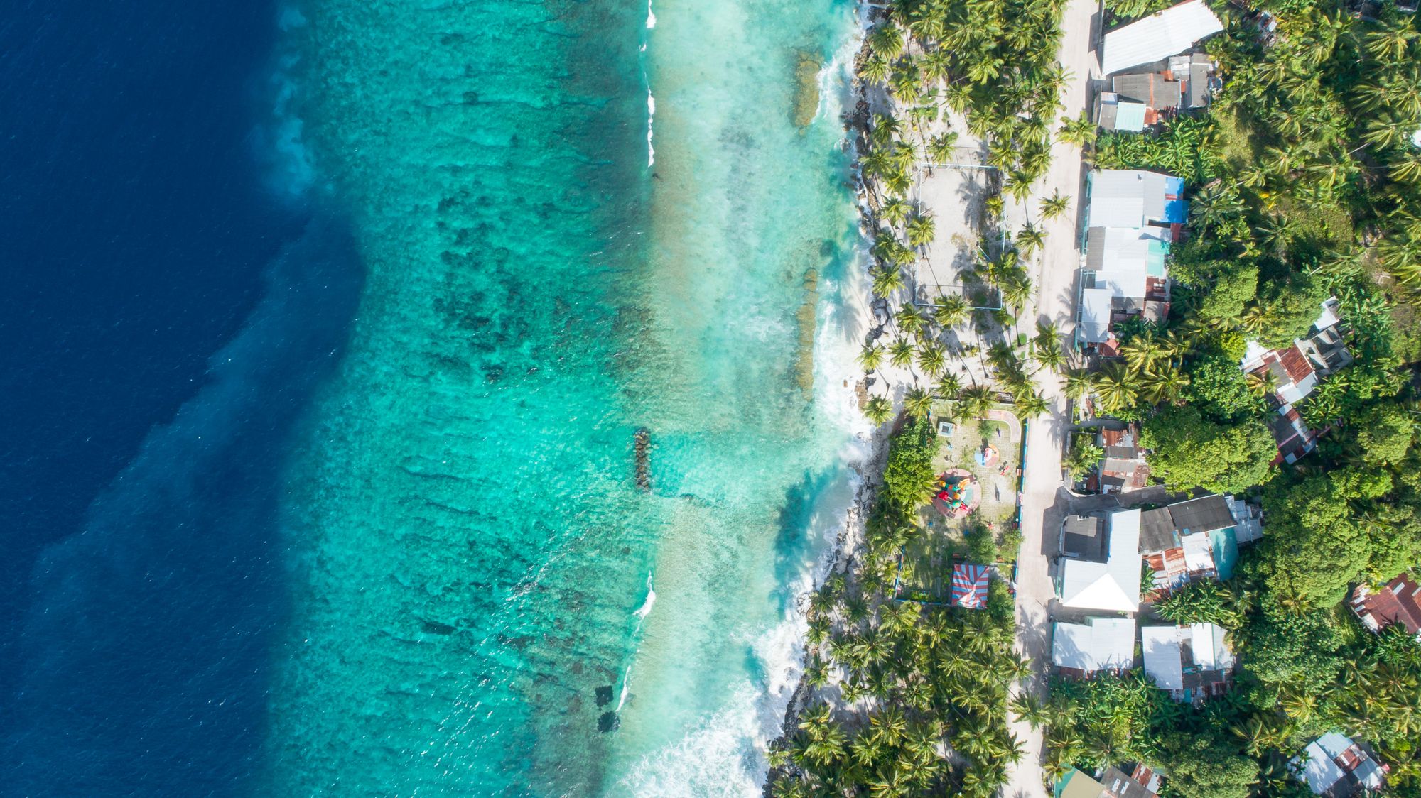 Aerial view of a local island shoreline in Addu Atoll — turquoise reef water meeting palm-shaded village homes