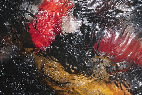 Free Close-up of vibrant colors reflecting in a rippling water surface, creating an abstract texture. Stock Photo