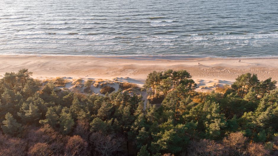 Dramatic aerial view of Palanga's serene beach and forest coastline, Lithuania.