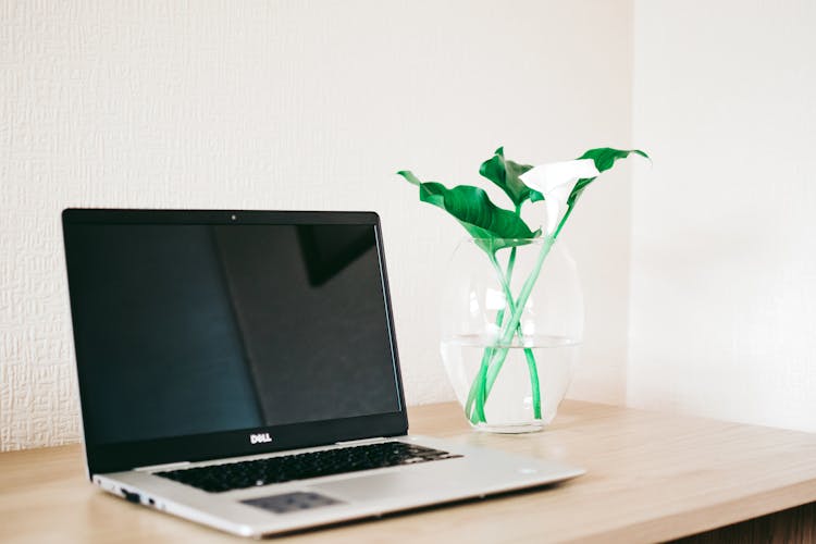 Silver And Black Dell Laptop Beside White Calla Lily In Clear Glass Vase On Brown Wooden Desk