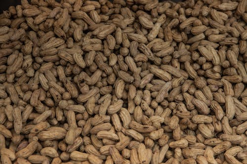 Kostnadsfria Kostnadsfri bild av jordnötter, mat, matfotografi Stock foto