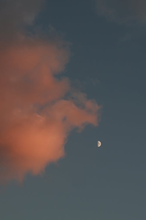 Fotobanka s bezplatnými fotkami na tému krása, mesiac, obloha