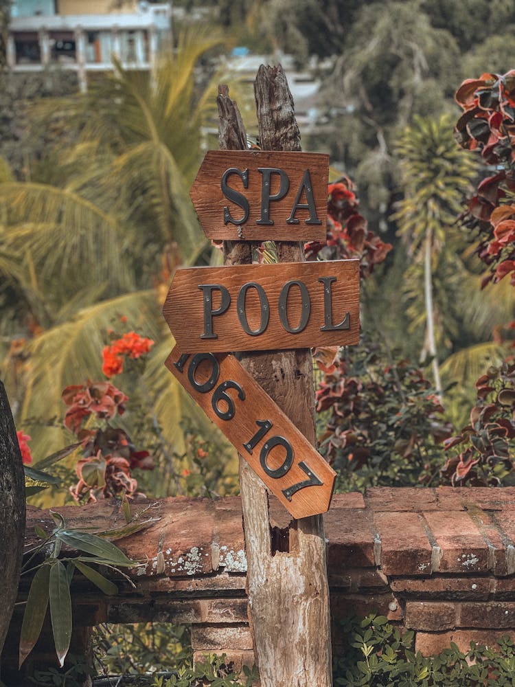 Wooden Signages On A Log