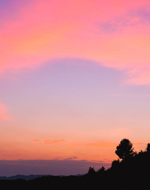 Pink Clouds at Dawn