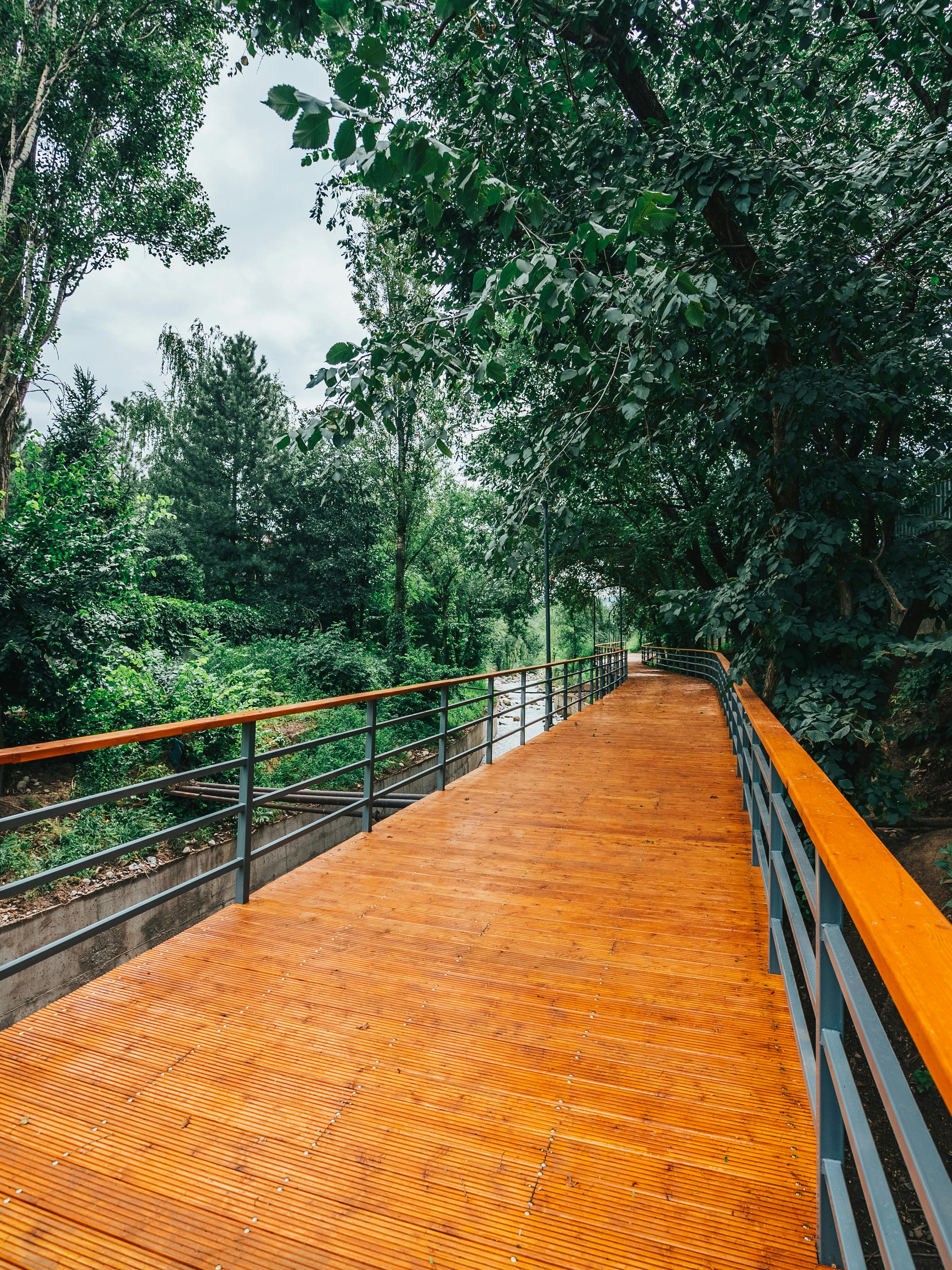 бесплатная Деревянный мост между зелеными деревьями Стоковое фото