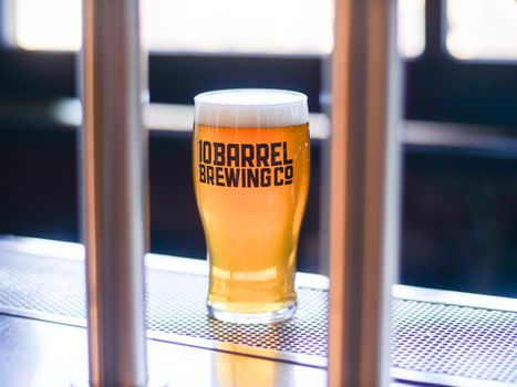 Chilled pint of craft beer with foam at 10 Barrel Brewing Co, showcasing the amber color and refreshing appeal.