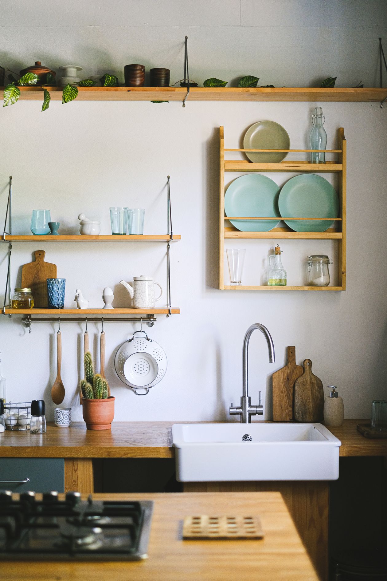 how to style open kitchen shelves: rustic open shelving with green plants and dishware