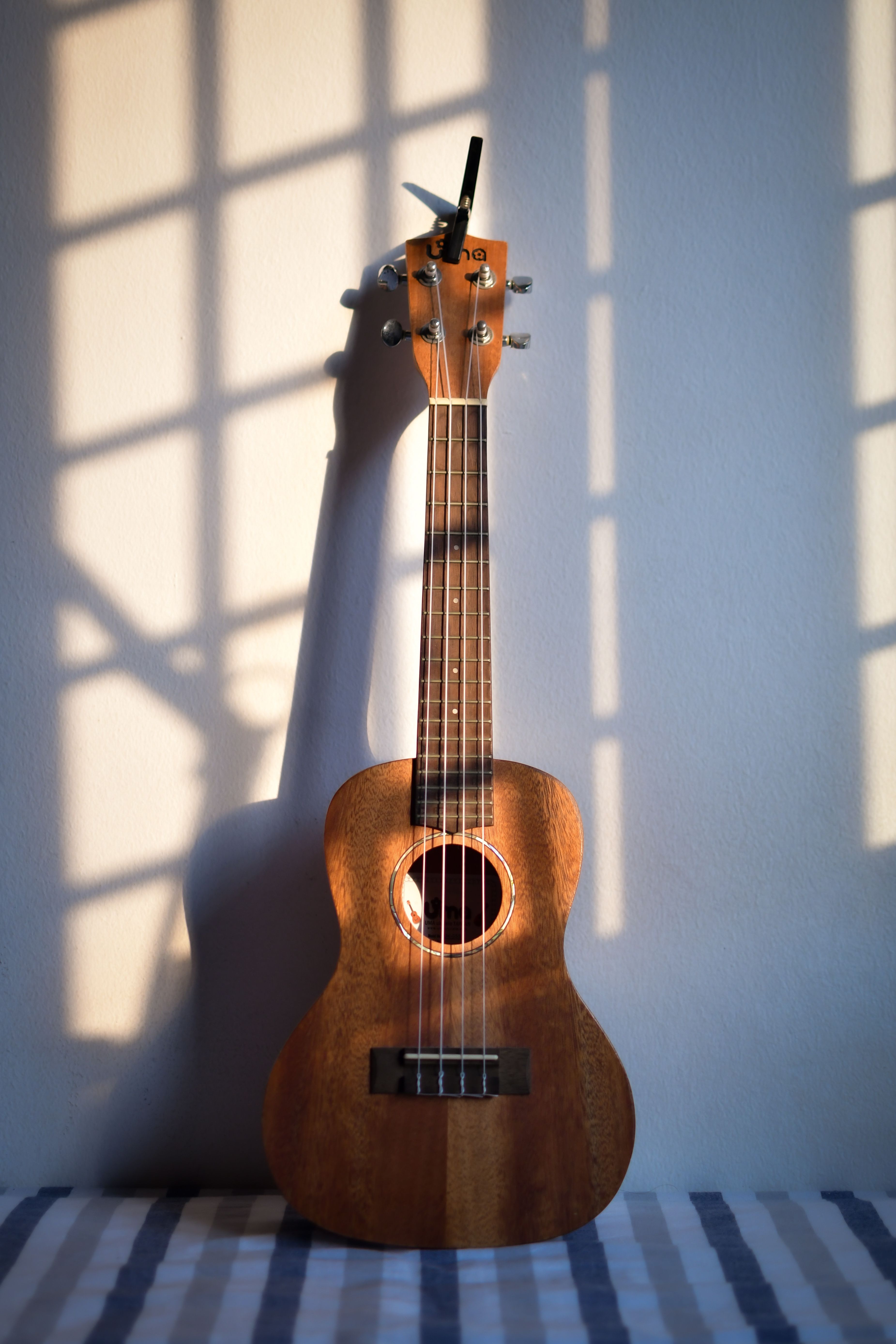 A wooden ukulele resting against a sunlit wall, casting intricate shadows.