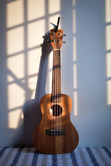 A wooden ukulele resting against a sunlit wall, casting intricate shadows.