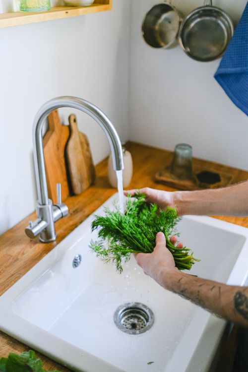Free Close-up of hands washing fresh dill in a kitchen sink with running water. Stock Photo