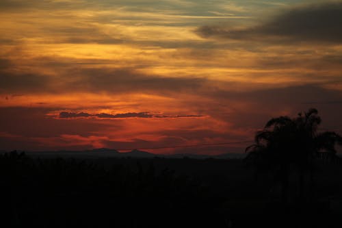 คลังภาพถ่ายฟรี ของ skyscape, ซิลูเอตต์, ตอนเย็น