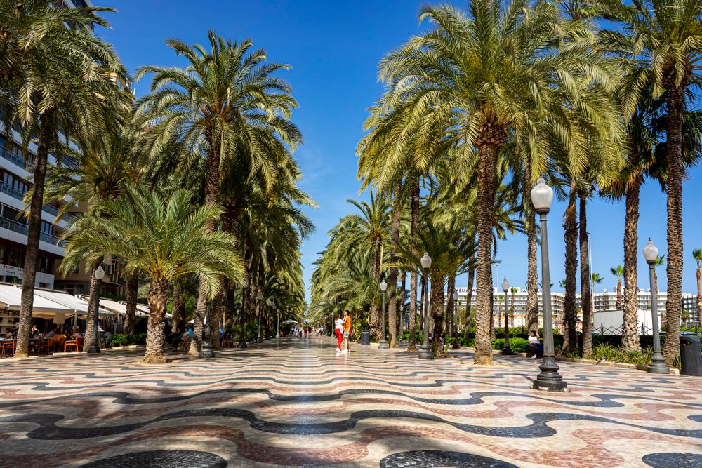 Promenadă cu palmieri și pavaj ondulat în Alicante, Spania