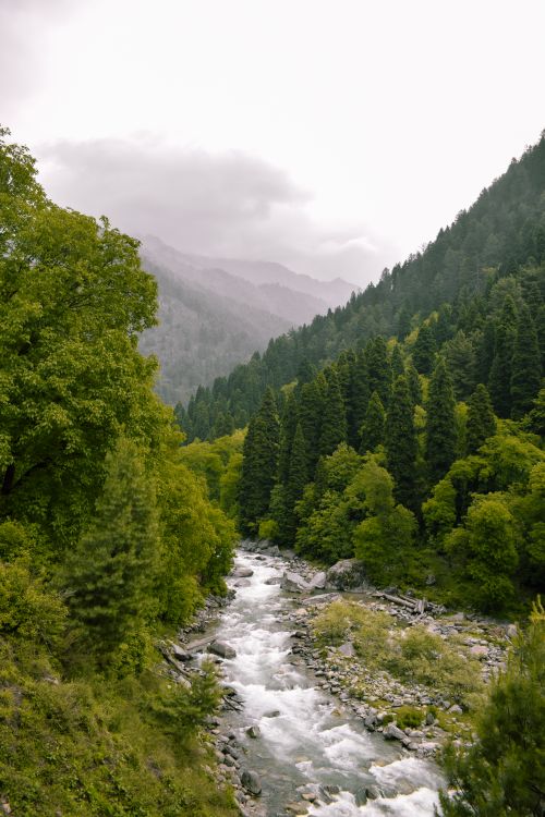 Free Breathtaking view of a river flowing through a verdant mountain forest, capturing nature's serenity. Stock Photo