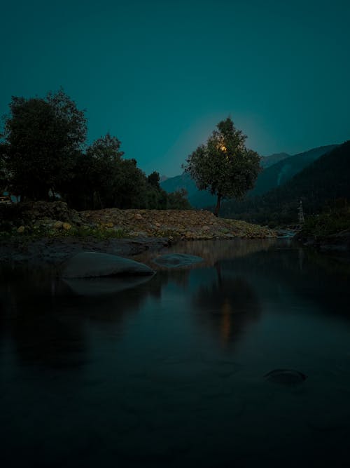 Green Trees Near Lake