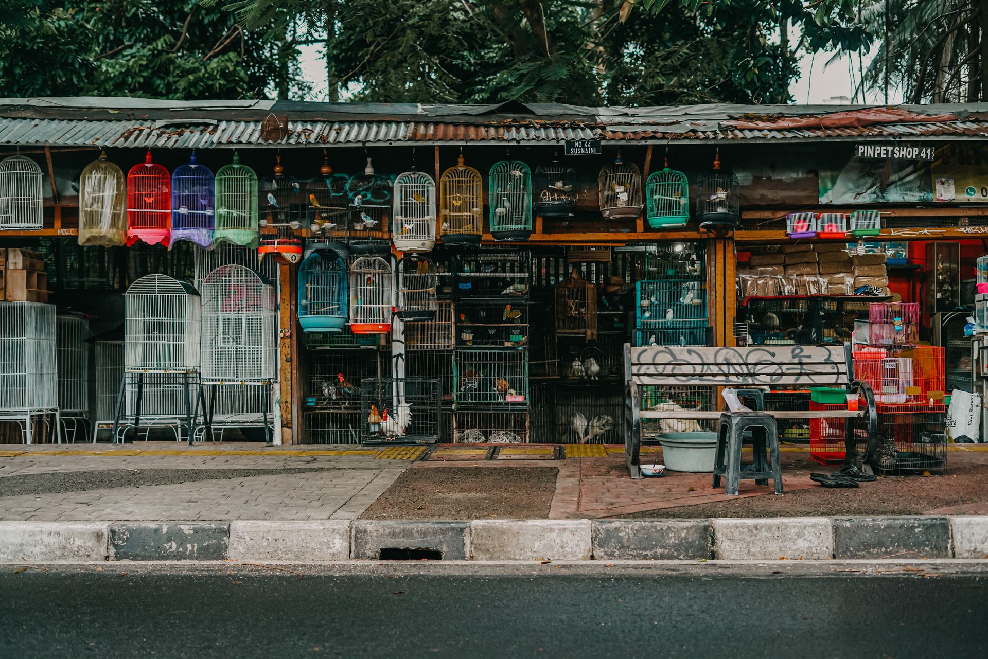 A Pet Market by the Road