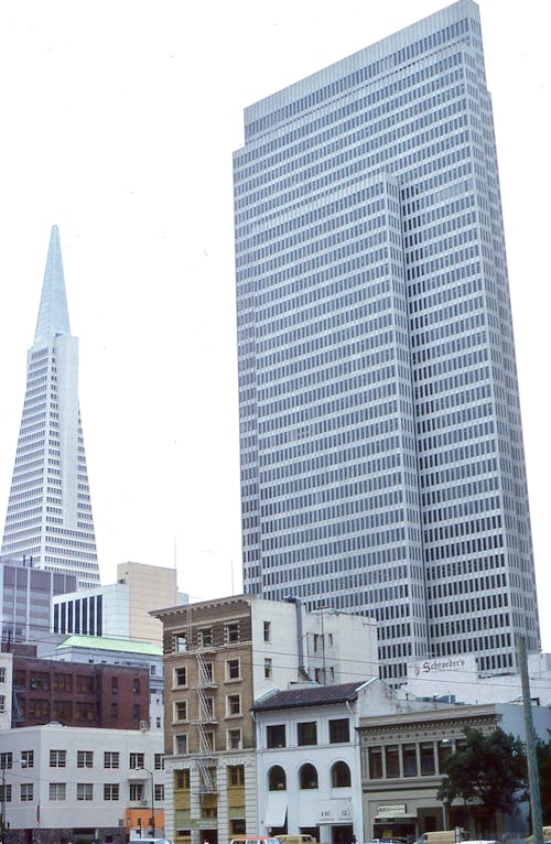 Skyscrapers in Downtown San Francisco, California, United States 