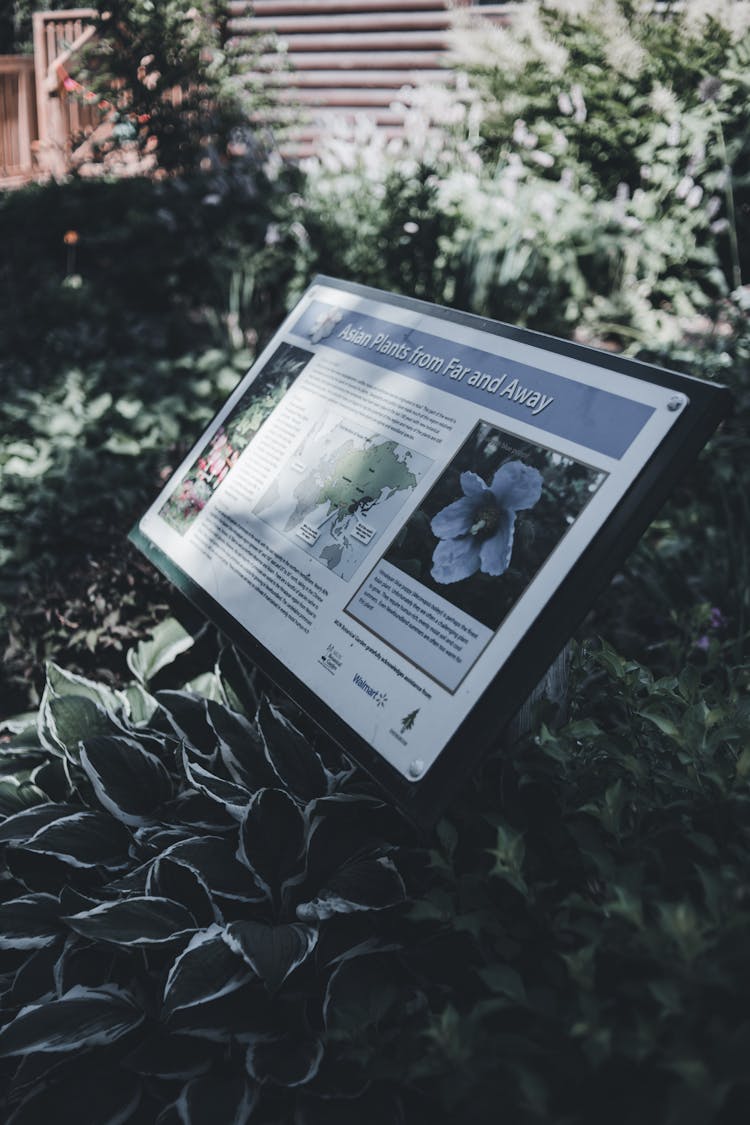 Information Plate In A Botanical Garden 