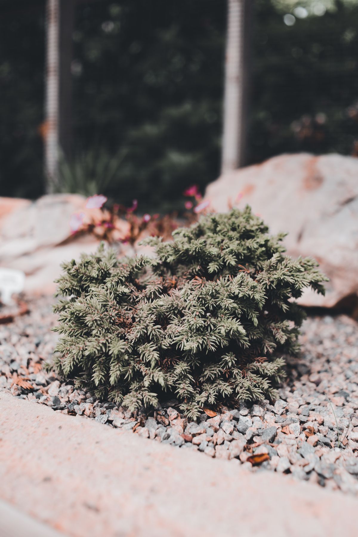 Decorative rock landscaping service example