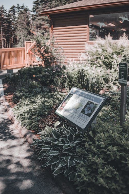 Δωρεάν στοκ φωτογραφιών με βοτανική, κατακόρυφη λήψη, κήπος