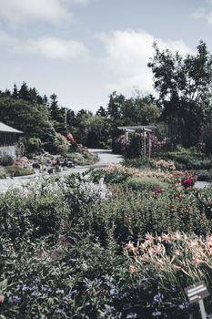 Serene garden landscape featuring vibrant flowers and lush greenery under a cloudy sky.