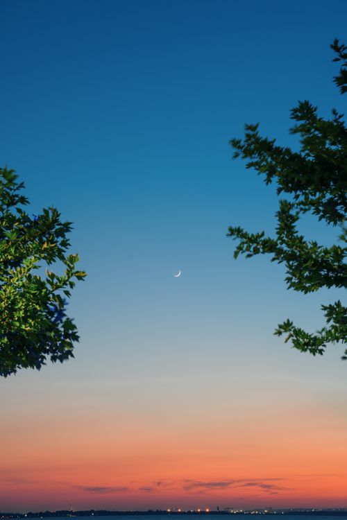 Free Beautiful crescent moon against a twilight sky with silhouetted trees and a vibrant gradient. Stock Photo