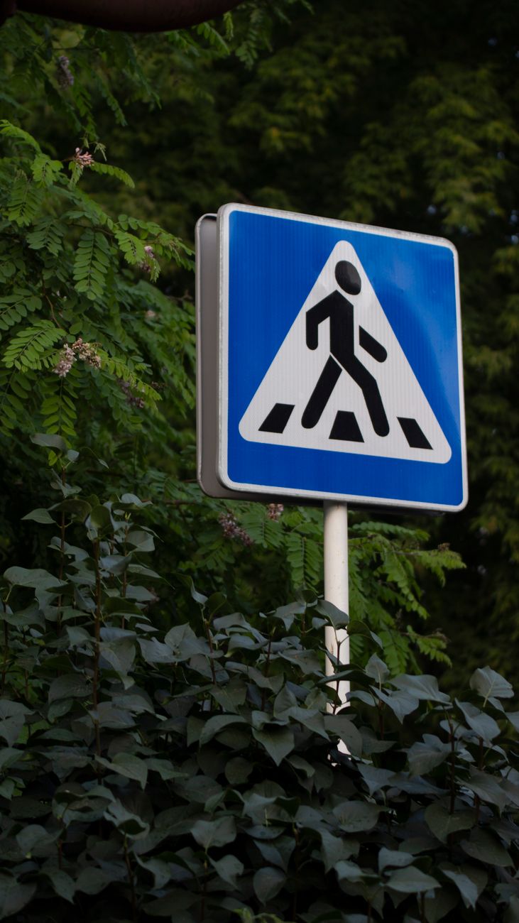 Señales de Obligación: Cómo el Conocimiento de las Señales de Círculo Azul Transformó la Seguridad Vial en una Empresa de Transporte