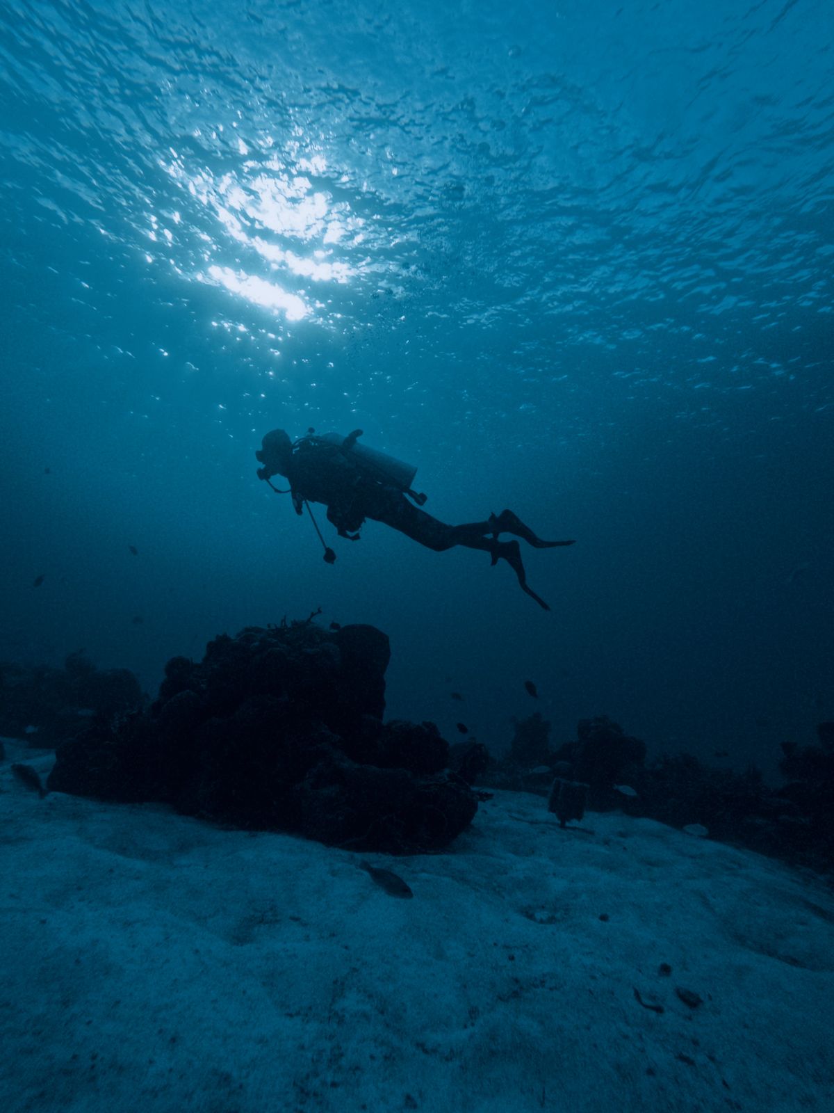 A silhouette of a scuba diver exploring the seabed underwater in San Miguel de Cozumel, Mexico.