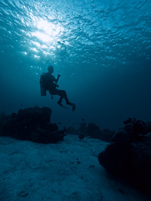 Underwater Picture of Man Diving 