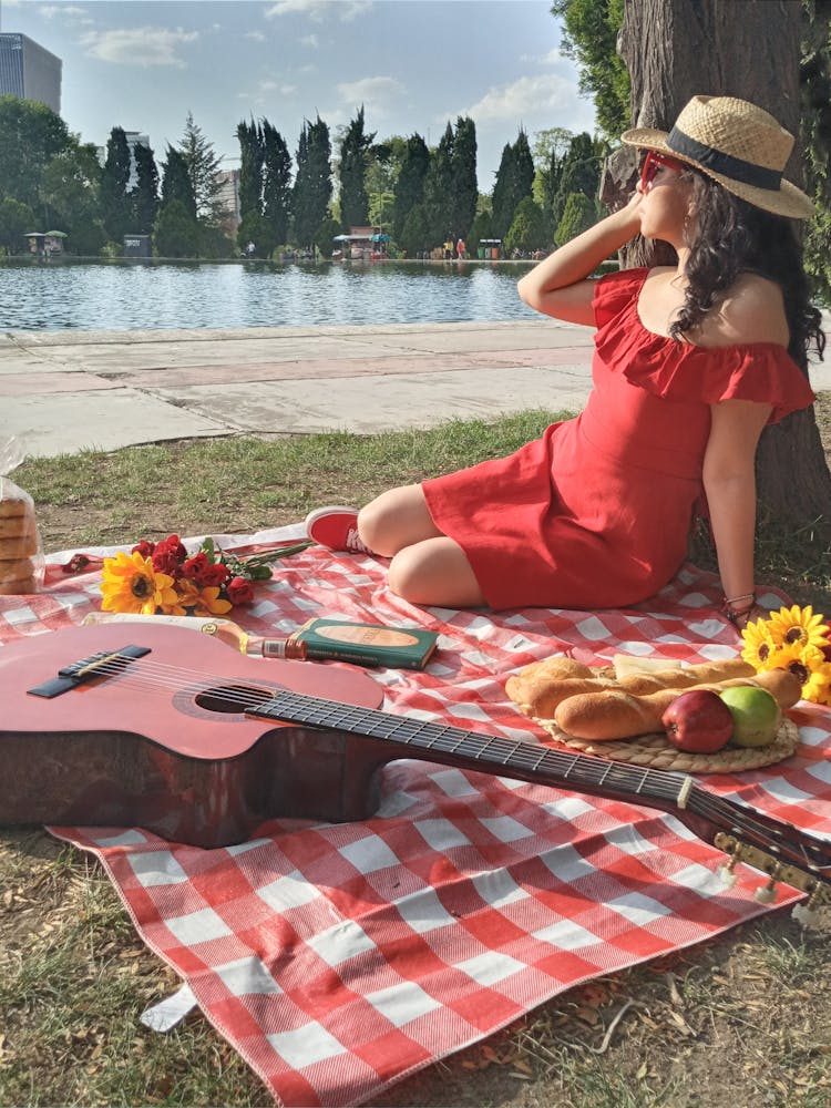 Woman In Red Dress Sitting On Checkered Blanket