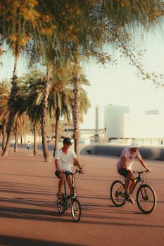 Two men biking on a tropical street lined with palm trees on a sunny day.