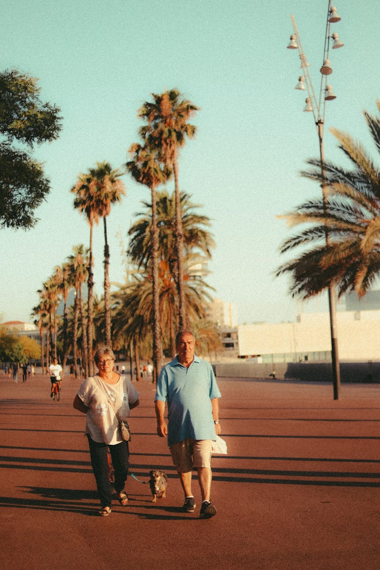 Busy People Walking On A Park With Palm Trees