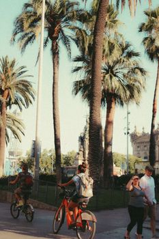 A sunny day with people cycling and walking under tall palm trees in an urban setting.
