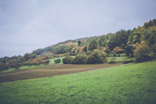 Peaceful autumn scene with colorful trees and lush green fields under a cloudy sky.