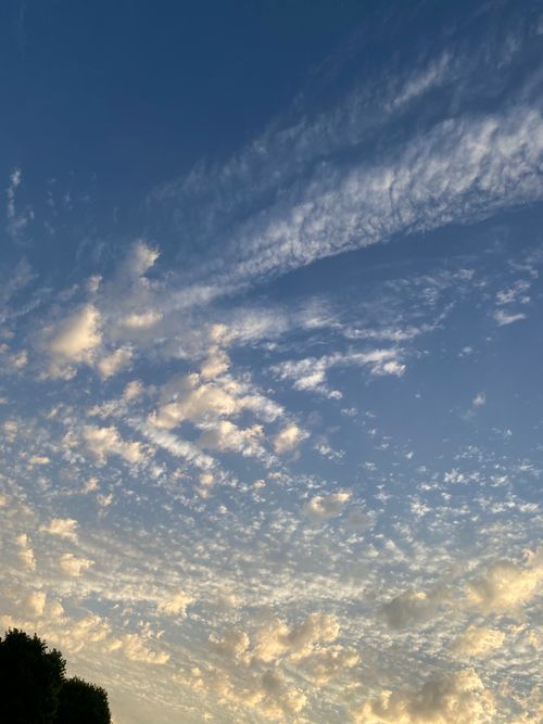 Free A tranquil sky filled with fluffy clouds against a soft blue backdrop, perfect for calming visuals. Stock Photo