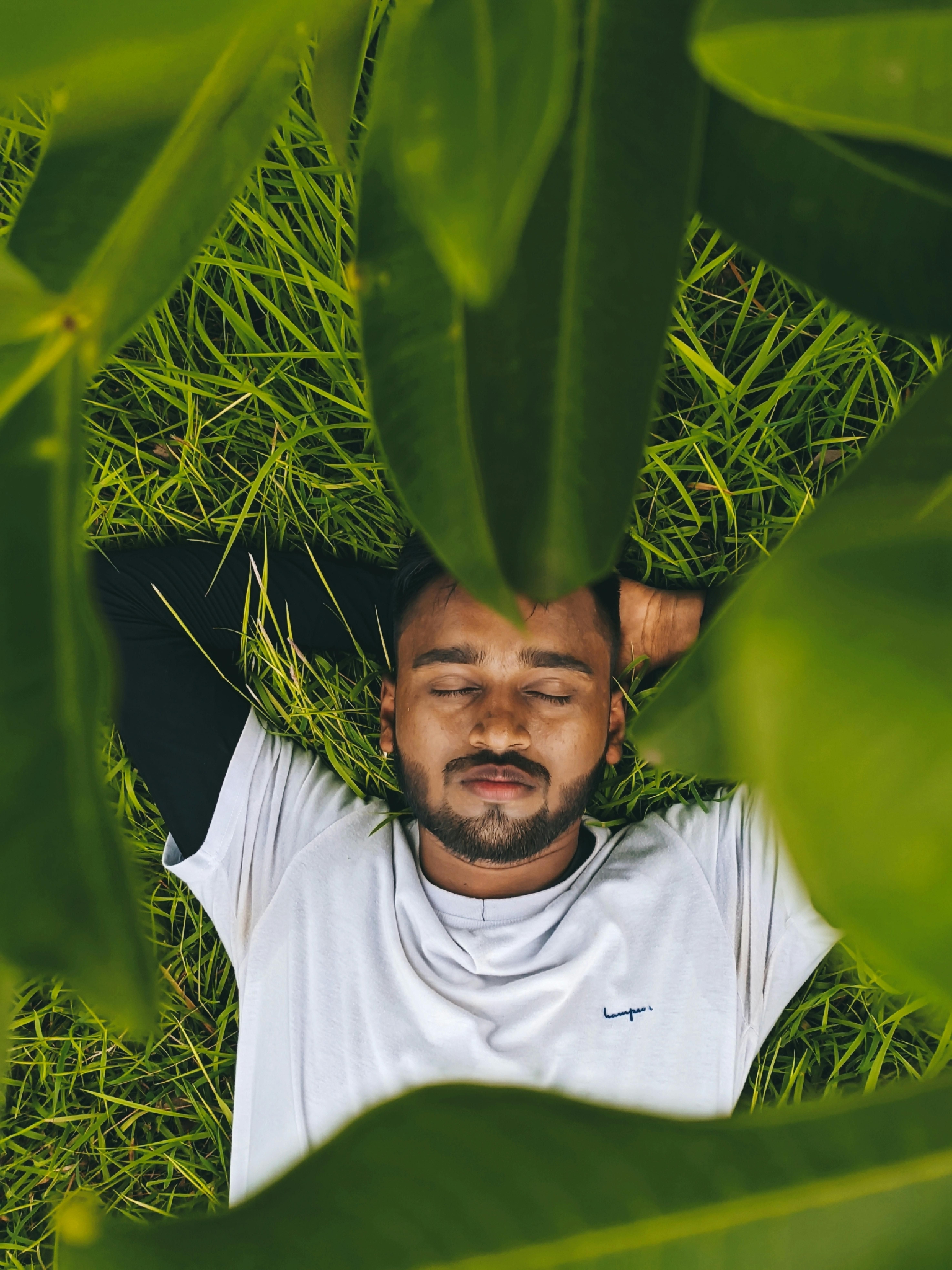 A young man with a beard lying on grass, surrounded by lush green leaves, enjoying a peaceful moment.